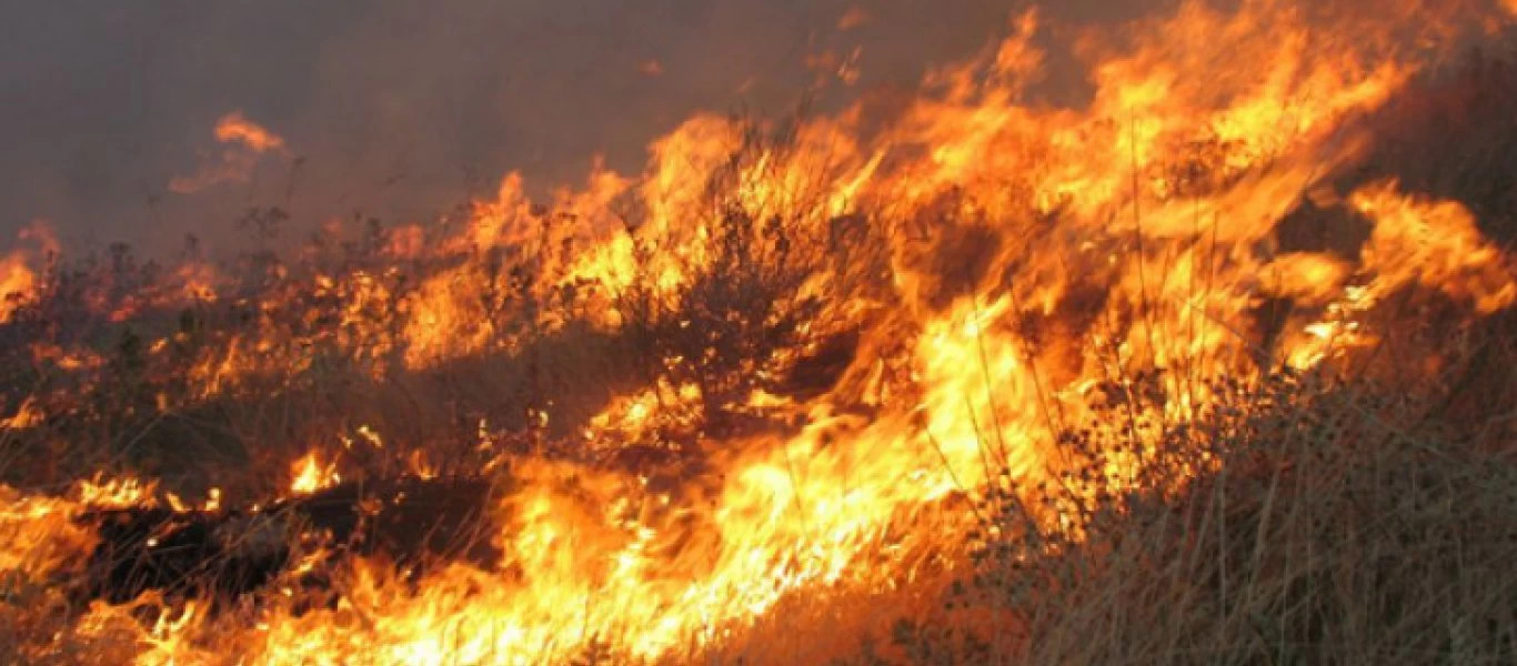 Πυρκαγιές: Στο νοσοκομείο ένας πυροσβέστης στη Χαλκίδα και μία ηλικιωμένη στους Μολάους